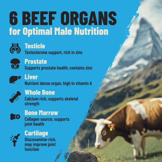 Male Optimization beef organs