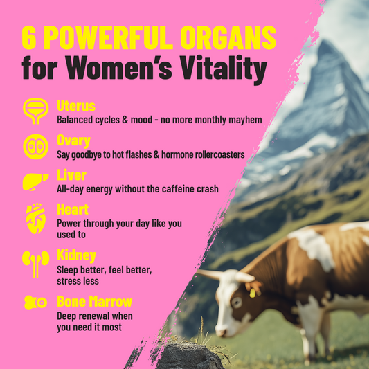 female optimized beef organs